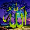 shabeerkaudeer