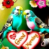 user2112493465521