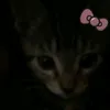 pw_sk