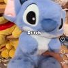 040696stich