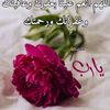 user2759785317887