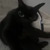emiliaisskibidi