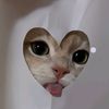 pikatcou_anw7