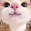 gh0sting_ave