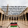 mohamedmohamud471