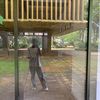 saty_musica12