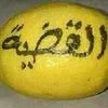 hidrn7