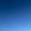 annasth31