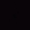 wong_biasa.1
