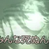 aaaa0066