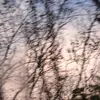 ayanaazzahra165