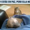 ramonlopez8037