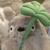 abcdecafgh