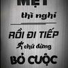 duc_cute08