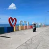 nerissareataza