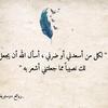 ata.mohamed8