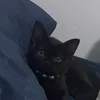 imyourf0n_