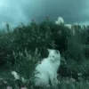 the_fucking_wind