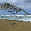 angeloragusa14