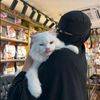 nabuuuuu_1