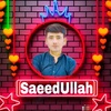 saeedullah8684