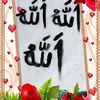 afifulhokarif