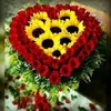 mdsafihossain739