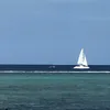 rdd17122