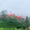 jamesgurung29