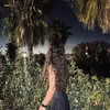 dinaal_hadid