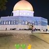 cherifmouhamedou