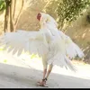 amjad304969909a