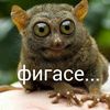 michail_igorevich