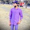 zainibahi295