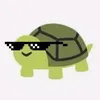 theswaggturtle