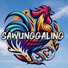 SAWUNG GALING