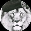 al3bede.881
