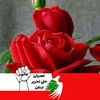 nancyahmad827