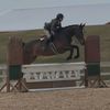 kkt.equestrain