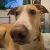 jamielee_m06