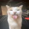 nickbijackson