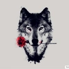 wolfwolf22222