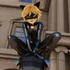 Cat noir 🐈‍⬛