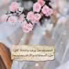 omelwaleed1