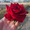 jr_juan593