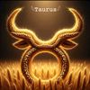 user3048616122920
