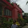 dezzakinulangsamwamwa