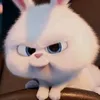 lynkka6