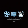 aesthetic_ice_house_70