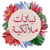نباتات ملائكية